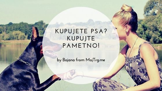 Kupujete psa? Kupujte pametno!