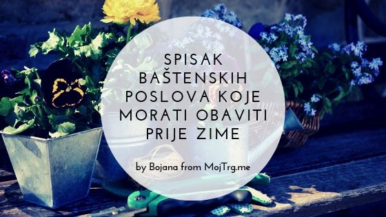 Spisak baštenskih poslova koje morate obaviti prije zime